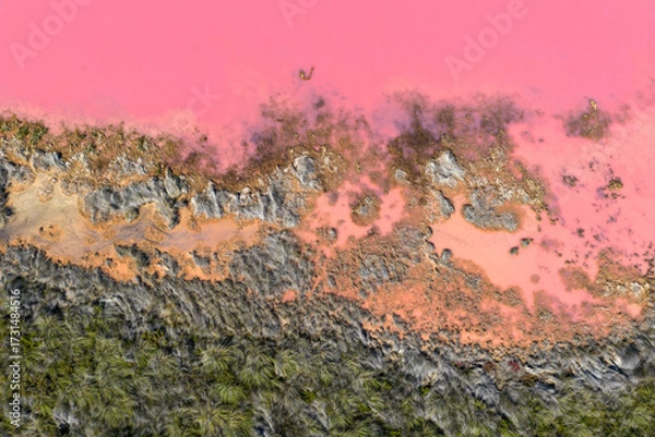 Fototapeta Hutt Lagoon a natural pink lake at Port Gregory near Kalbarri, Western Australia. Extraction of microalgae for beta-carotene, from pink algae Dunaliella salina for food, beverages, supplements