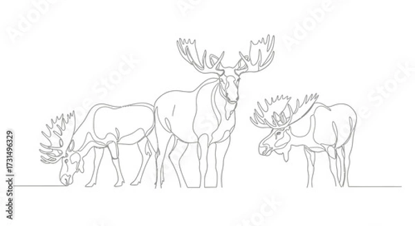 Obraz Moose Trio Grazing in Serene Landscape, Illustrative Art, Wildlife Environment, Peaceful Viewpoint