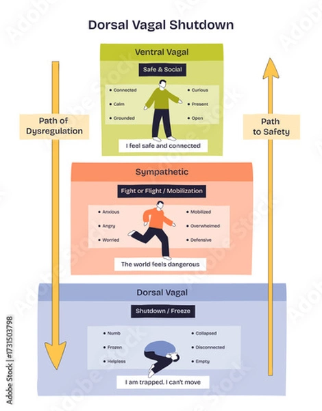 Fototapeta Dorsal vagal shutdown shows a person frozen, trapped, and immobile, illustrating nervous system collapse. Key objects, frozen figure, arrows, labeled sections. Doodle style diagram