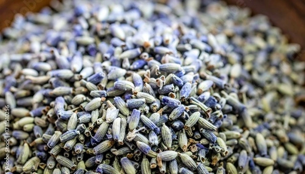 Obraz Dried lavender buds close-up