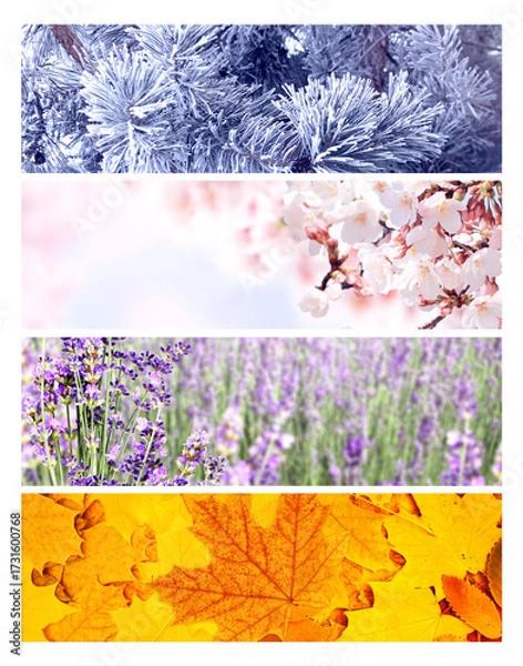 Fototapeta Set of horizontal nature banners. Four season of year. Each one features scene of nature, from the gentle snowfall of winter to the vibrant leaves of summer. Perfect for showcasing changing seasons