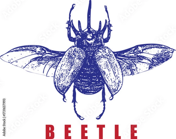 Obraz Flying Beetle Illustration with Wings Spread. Blue Insect Engraving Style. Red Text Graphic, High Contrast Vintage T-Shirt Design. Entomology Art, Isolated.