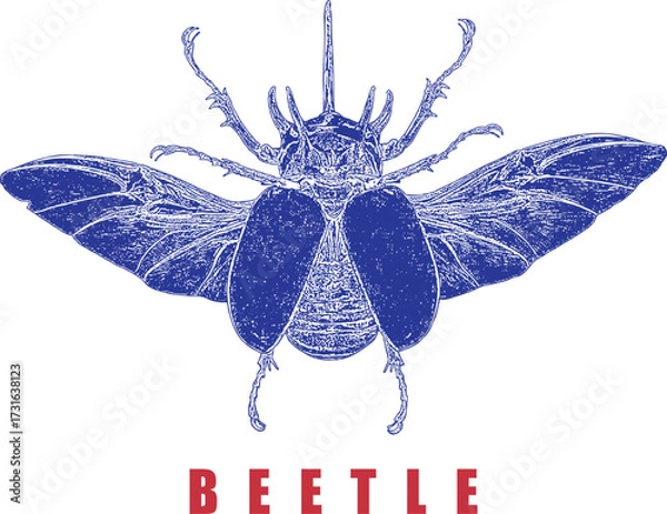 Fototapeta Blue Stag Beetle Stipple Style Illustration. Red Text Graphic. High Contrast Vintage Insect Art. Entomology, Nature, Bug Design. Isolated on White.