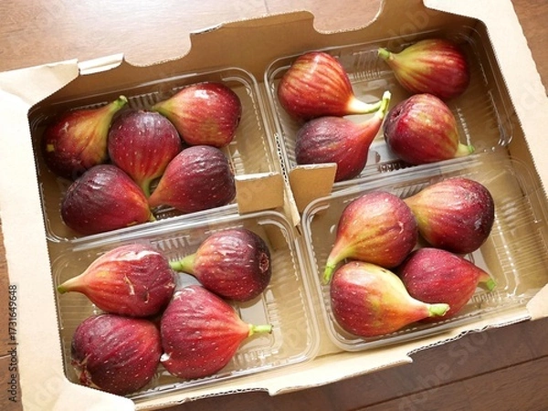 Fototapeta 箱に入った日本のいちじく「桝井ドーフィン」４パック
