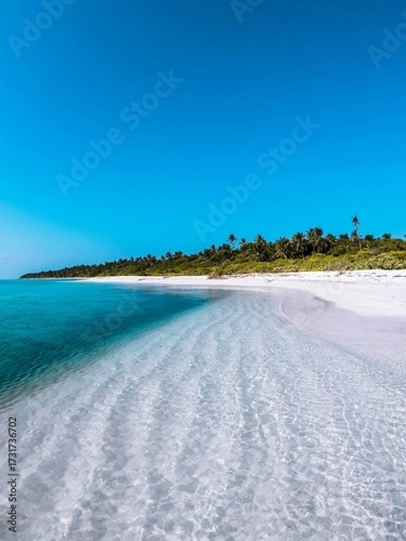 Fototapeta tropical beach with palm trees
