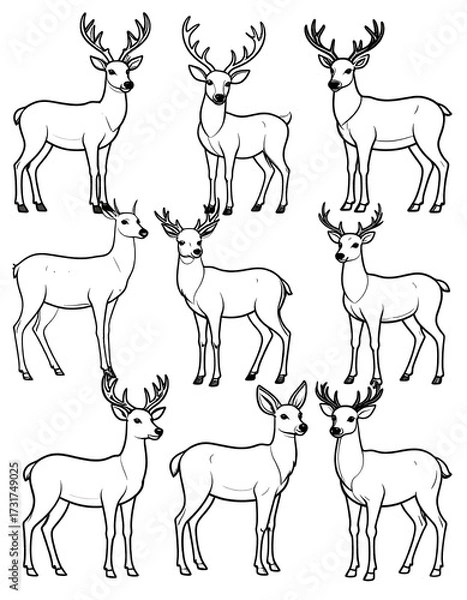 Fototapeta Nine line drawings of deer, varying in antler size and pose