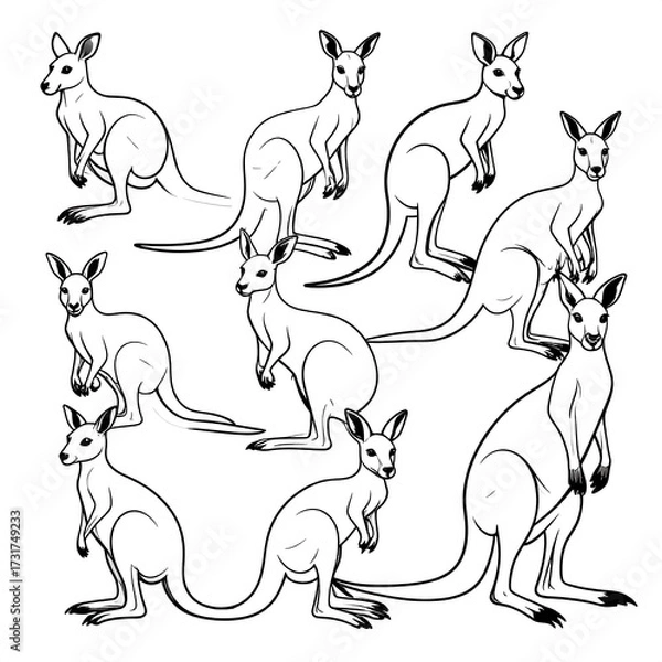 Fototapeta Nine line drawings of kangaroos in various poses, arranged in a grid-like pattern