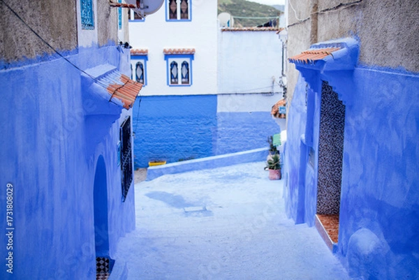 Fototapeta Vibrant blue alleyway with whitewashed buildings, featuring intricate window designs and colorful accents, creating a picturesque scene of urban charm and cultural heritage