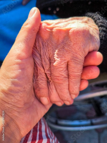 Fototapeta Elderly Hand And Younger Hand In Tender Connection: Symbol Of Care, Support, Generations And Human Touch