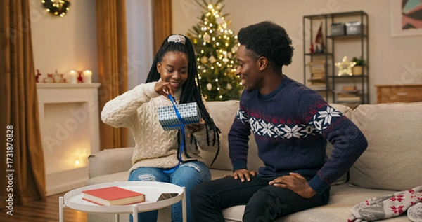 Fototapeta On Christmas Eve, two friends of multi-ethnic background sit on a couch. The young man gives a gift to the young woman, who unpacks the box and is infinitely happy with the surprise. She smiles and