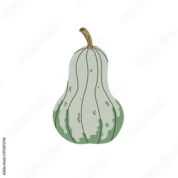Obraz Autumn pumpkin in flat minimalistic style. Decorative fall vegetable with black outlines in simple design. Seasonal farm harvest. Vector illustration isolated on white background.