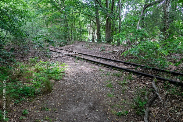 Obraz Der eiserne Rhein, Kreis Heinsberg