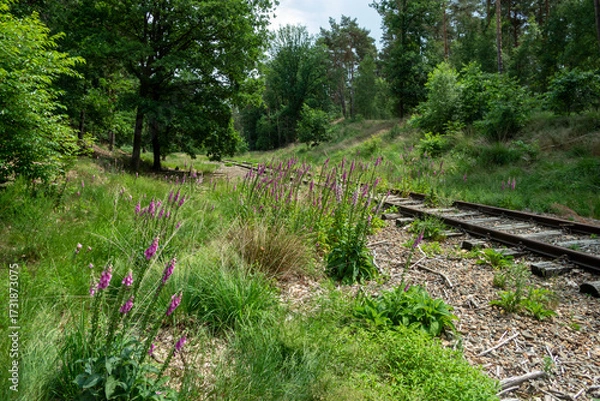 Obraz Der eiserne Rhein, Kreis Heinsberg