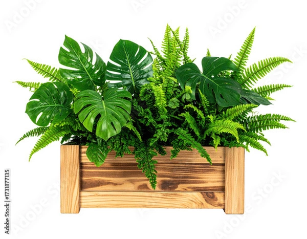 Obraz Lush green plants in a wooden planter box (2)