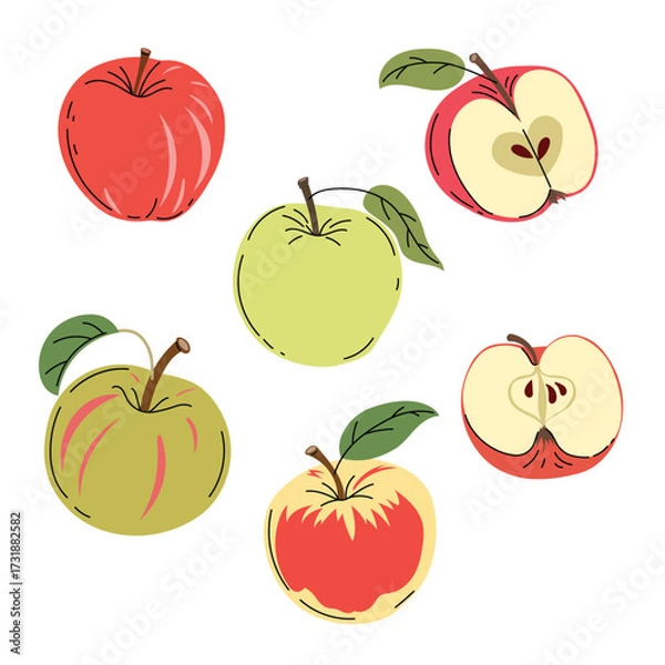 Obraz Apples set in flat modern minimalistic style. Farm fresh fruit collection. Sort of apples. Vector illustrations isolated on white background.