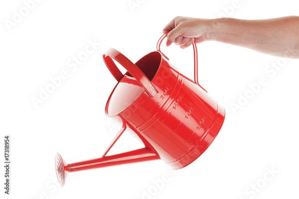 Obraz Watering Can