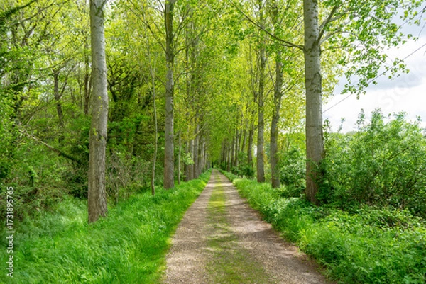 Obraz Effelder Waldseepfad, Kreis Heinsberg