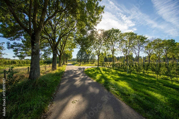 Obraz Effelder Waldseepfad, Kreis Heinsberg