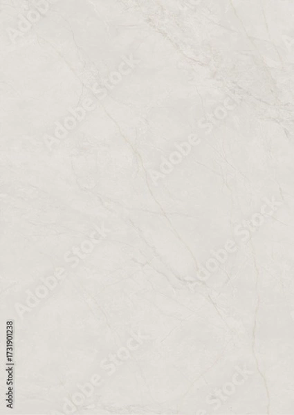 Obraz Close-up of light gray marble surface with subtle veining patterns