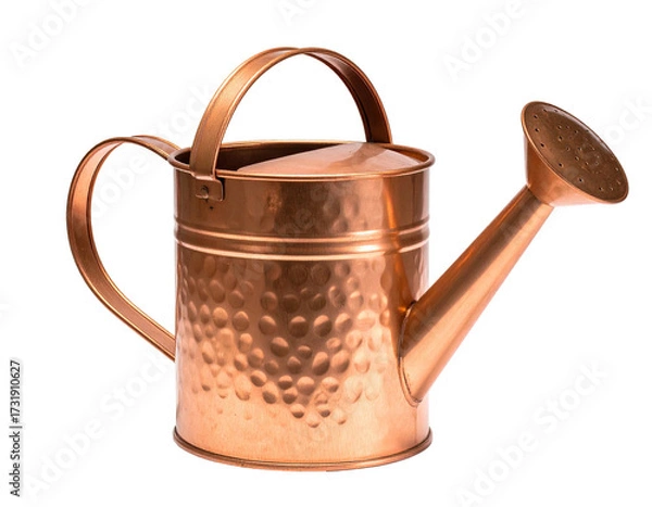 Obraz Copper watering can with hammered texture (2)