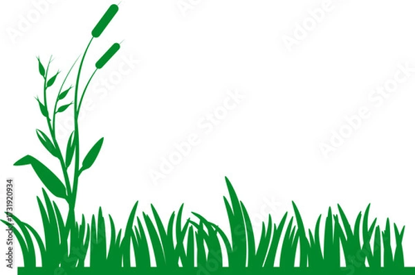Fototapeta Simple Green Grass Border