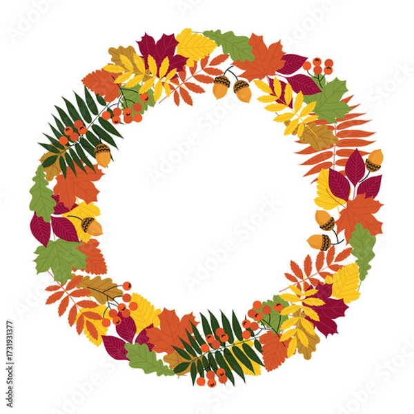 Fototapeta round frame of autumn leaves, rowan berries, and acorns, highlighted on a white background. an autumn frame for text and title design with flat-style plant elements. stock vector illustration. EPS 10.