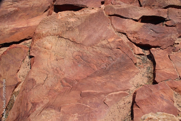 Fototapeta cliff at the kalbarri national park in western australia 