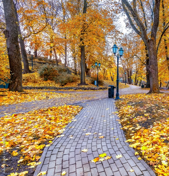 Obraz Autumn in public domain city park in Riga - the capital of Latvia, Baltic region