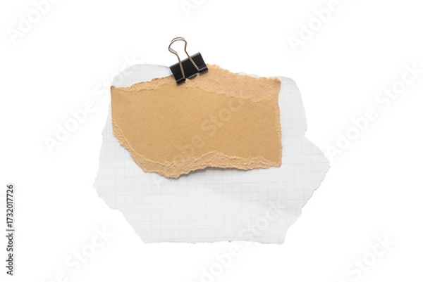 Fototapeta Torn piece of school notebook in a grid and brown piece of paper with beige tape and black binder isolated on white background