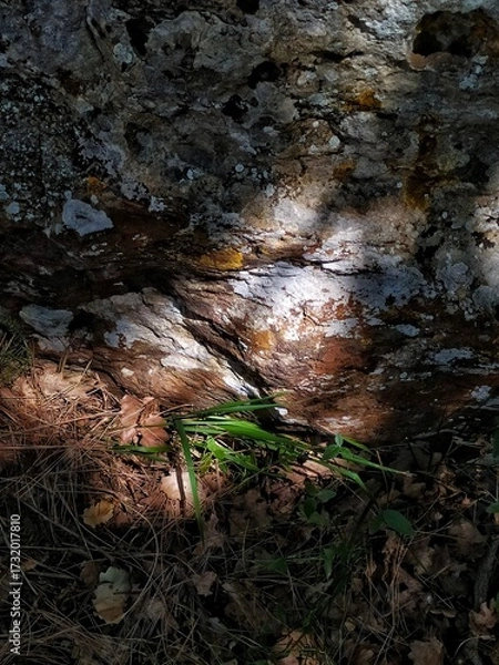 Fototapeta A shaft of sunlight pierces the thick shadow to illuminate a dramatic section of a rock face in a wooded setting.