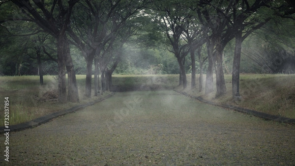 Fototapeta View of the street surrounded by trees with a dramatic smoke or fog effect. The scene is scary and mysterious. Mockup. Copy Space. Wallpaper or Halloween background