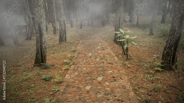 Fototapeta Forest with foggy trees and a path. The scene is scary and mysterious. Dramatic smoke or fog effect. Mockup. Copy Space. Wallpaper or Halloween background