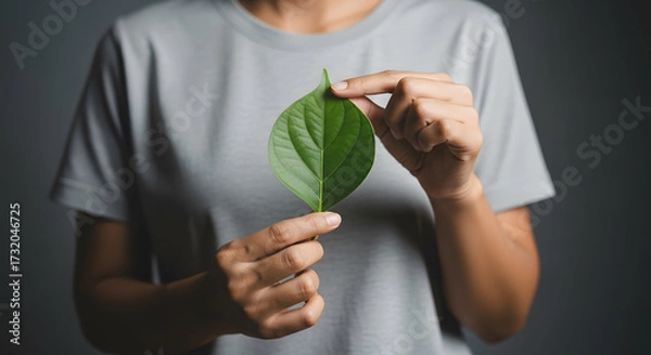 Fototapeta Green Energy, Renewable and Sustainable Resources. Environmental and Ecology Care Concept. Close up of Hand Holding a Heart Shape Green Leaf on Chest