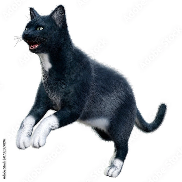 Fototapeta 3D Rendering Black Cat on White