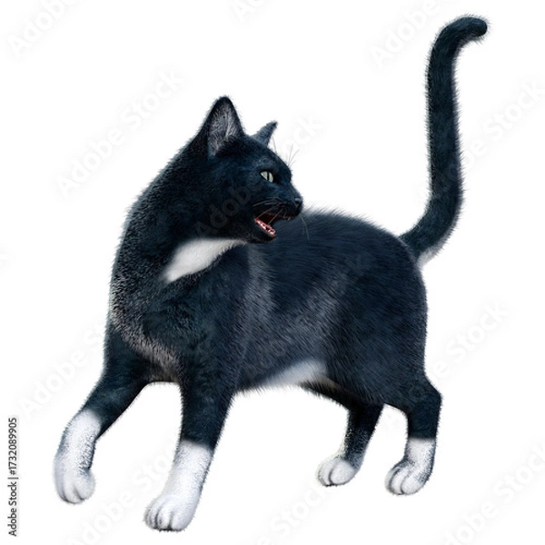 Fototapeta 3D Rendering Black Cat on White