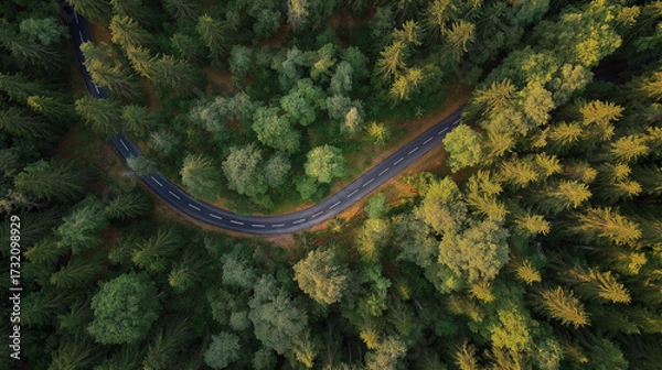Fototapeta aerial. Aerial view of a serene forest road winding through lush greenery under natural daylight. travel magazines, destination branding, designed for travel destination branding.