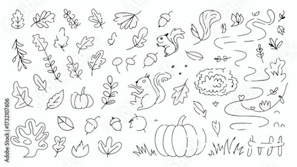 Obraz Charming hand-drawn autumn elements featuring squirrels, pumpkins, acorns, and falling leaves perfect for festive designs
