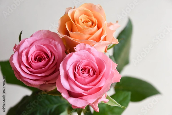 Fototapeta オレンジとピンクのばら