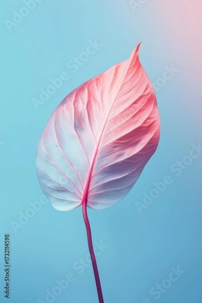 Fototapeta Isolated pink leaf against a gradient backdrop. Use Background for artistic design