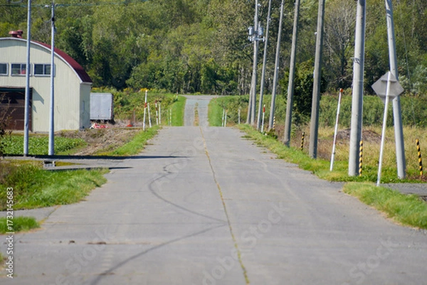 Obraz 田舎の道路