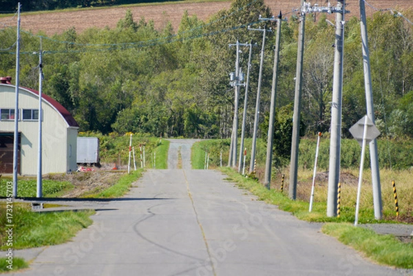 Obraz 田舎の道路