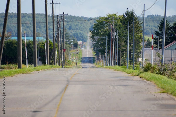 Obraz 田舎の道路