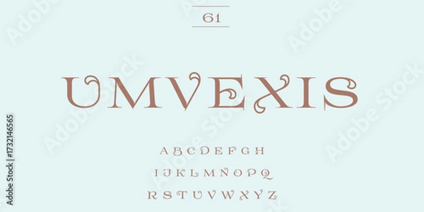 Fototapeta Elegant serif font with decorative flourishes and alphabet samples