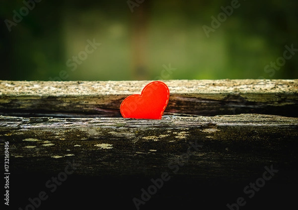 Fototapeta Red Heart Shape closeup