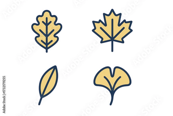 Fototapeta Stylized collection of autumn leaves: oak, maple, ginkgo, and generic designs for seasonal themes