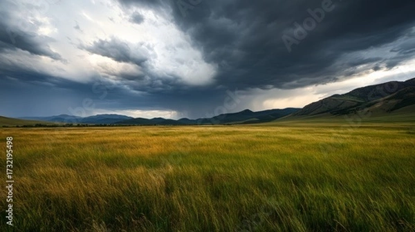 Fototapeta Dramatic thunderstorm approaches serene meadow nature landscape photography rural environment wide-angle viewpoint atmospheric concept