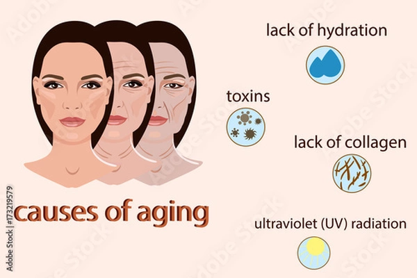 Fototapeta Causes of aging, vector illustration with two faces and small pictures