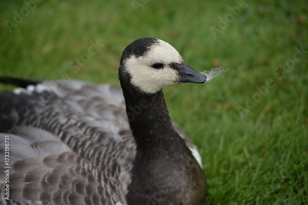 Obraz oslo collection