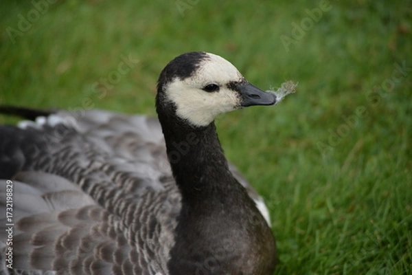 Obraz oslo collection