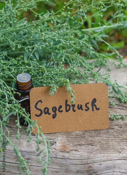 Fototapeta Sagebrush supplements and homeopathy. Selective focus.